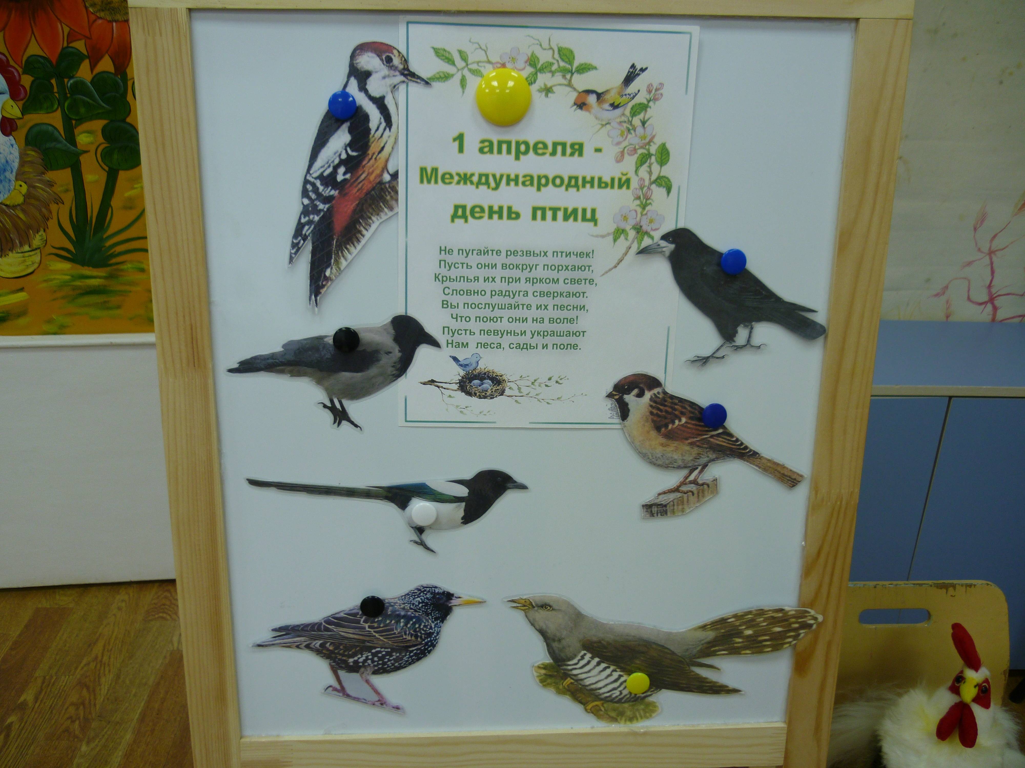 1 апреля – это еще и День птиц История праздника