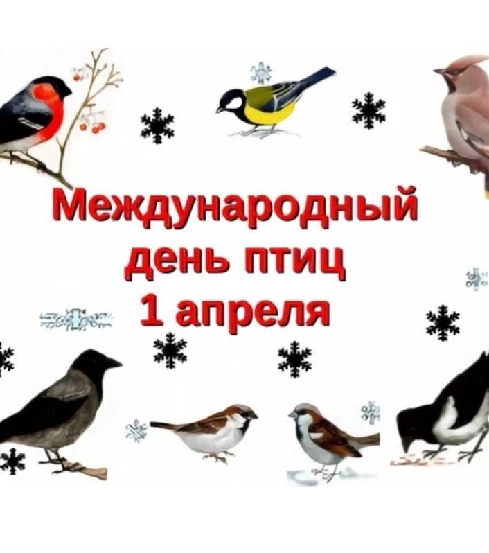 Дни защиты от экологической опасности в ленинске-кузнецком: 1 апреля - всемирный день птиц
