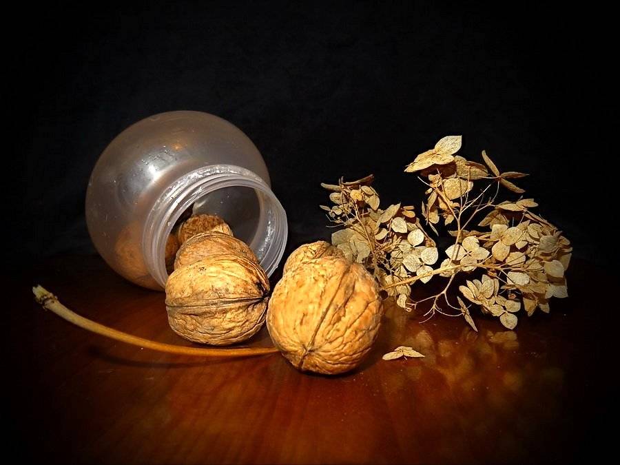 Орешки для золушки :) | biser.info - всё о бисере и бисерном творчестве
