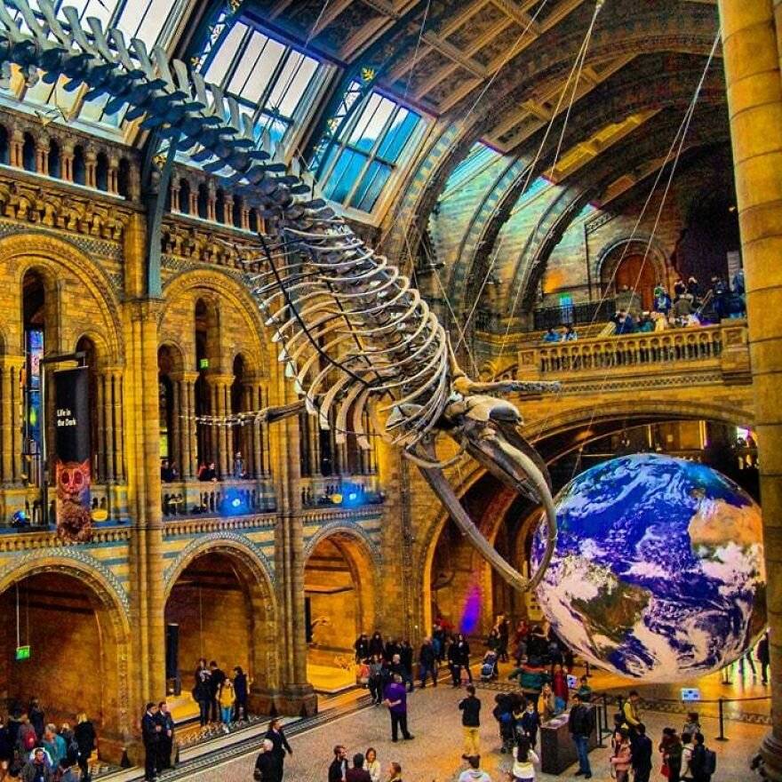 Музей естественной истории, лондон - natural history museum, london - dev.abcdef.wiki