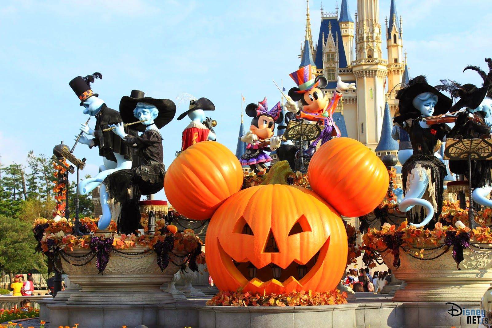 Самые интересные и важные традиции праздника хэллоуина