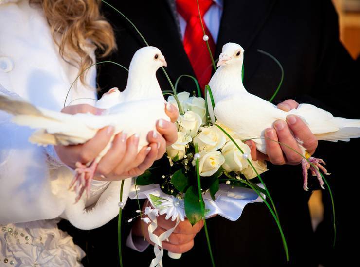 Самые нужные свадебные приметы – чтобы вы жили дружно и счастливо!