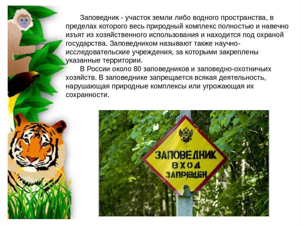 День заповедников и национальных парков россии