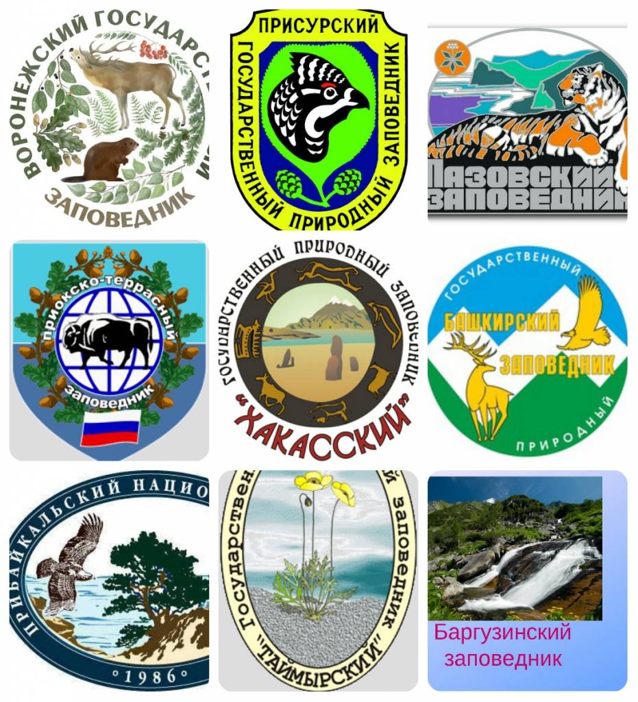 Всероссийский день заповедников и национальных парков в 2022: дата, история праздника