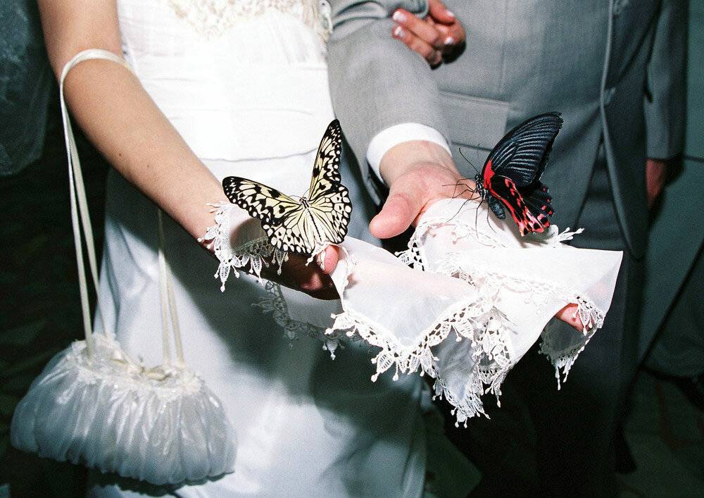 Что нельзя дарить на свадьбу молодоженам по приметам и правилам этикета