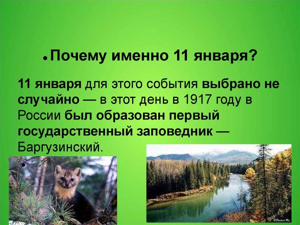 Мцбс: «день заповедников и национальных парков» (12+)