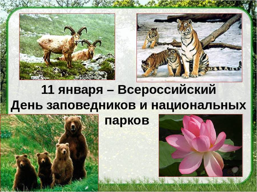 Всероссийский день заповедников и национальных парков 11 января  - rsute