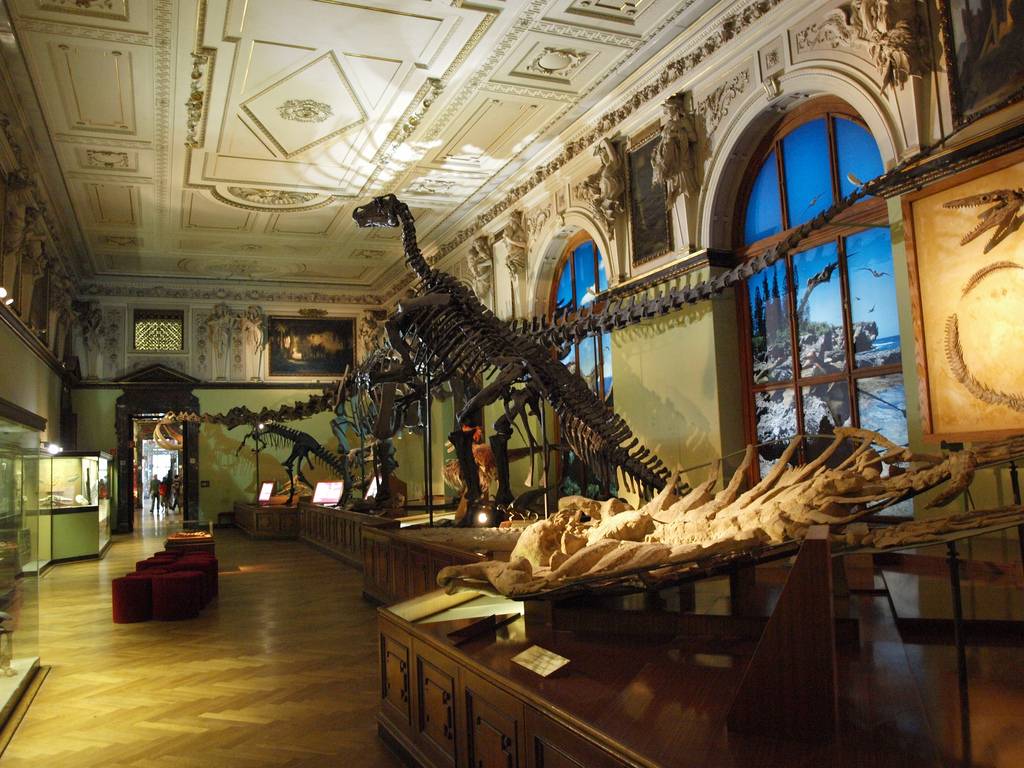 Учимся, путешествуя: 10 лучших музеев естествознания в разных странах мира