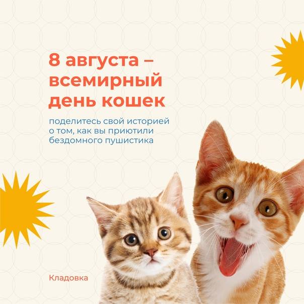 Всемирный день кошек 2022