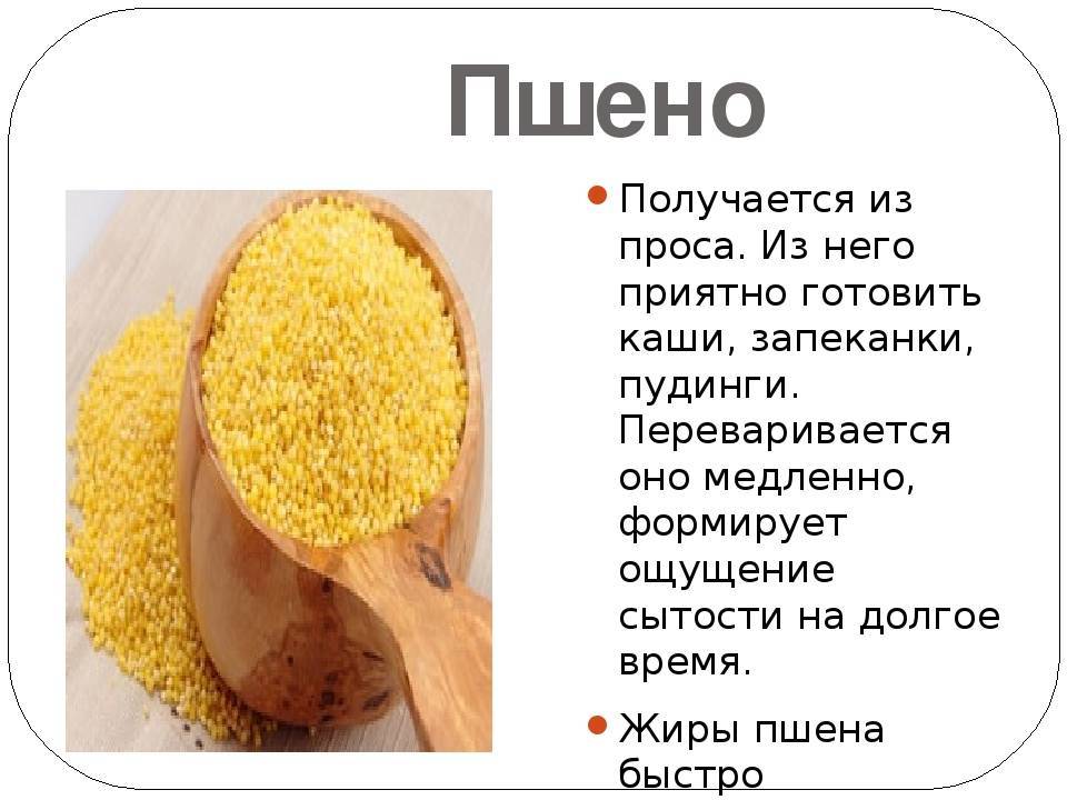 Использование пшеничных круп в детском питании