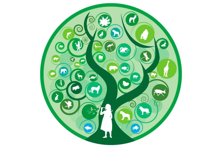 22 мая - международный день биологического разнообразия