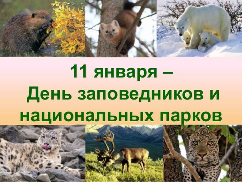 Какого числа всероссийский день заповедников и национальных парков в 2022 году?