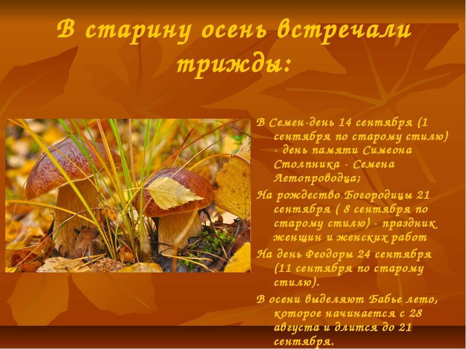 Почему День знаний мы празднуем 1 сентября?