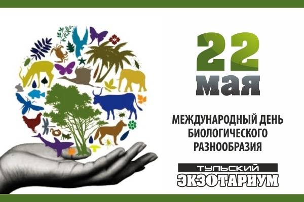 22 мая в календаре: международный день биологического разнообразия и день винегрета