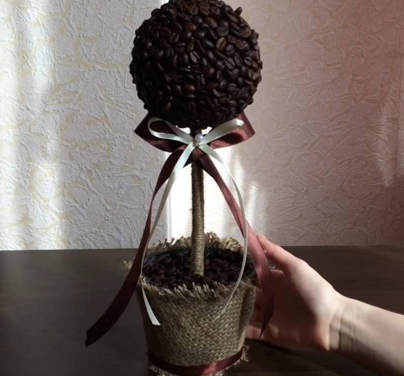 Топиарий своими руками из кофе — для оригинального подарка и украшения интерьера