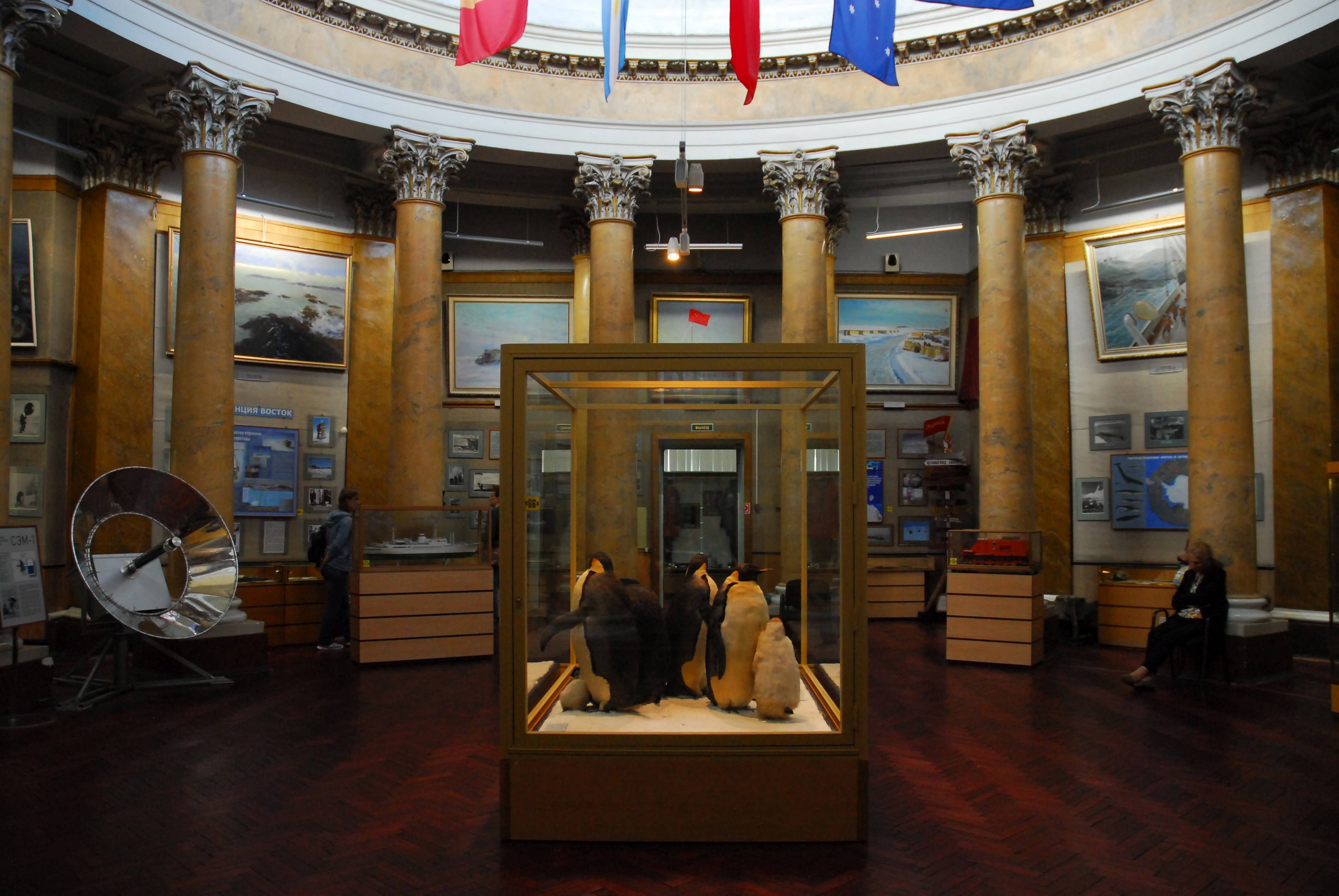 Музей арктики и антарктики