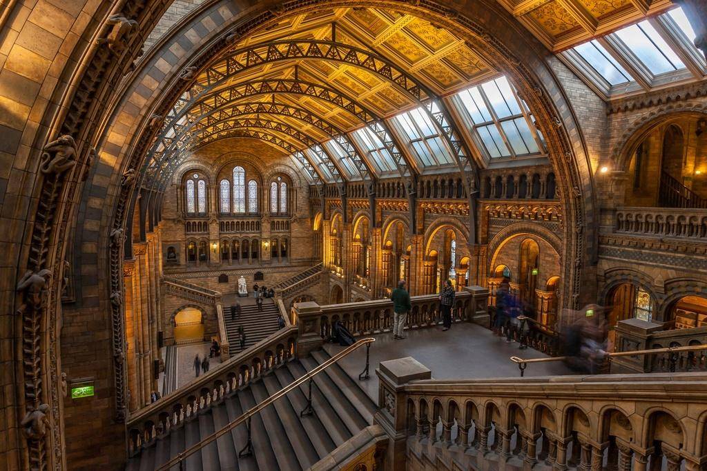 Презентация на тему: "музей естествознания в лондоне, обладает уникальными, крупнейшими не только в британии, но и во всем мире, ценнейшими ботаническими, энтомологическими,". скачать бесплатно и без регистрации.