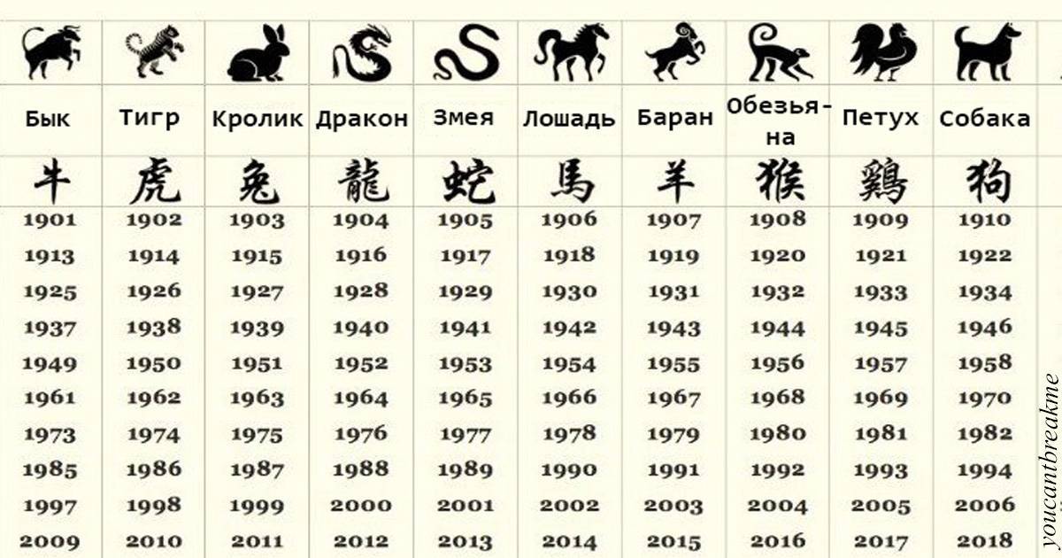 Какой  год по гороскопу: предсказания астрологов и их предостережения