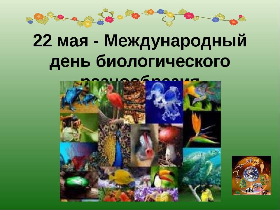 Международный день биологического разнообразия | экология и природные ресурсы кемеровской области — кузбасса