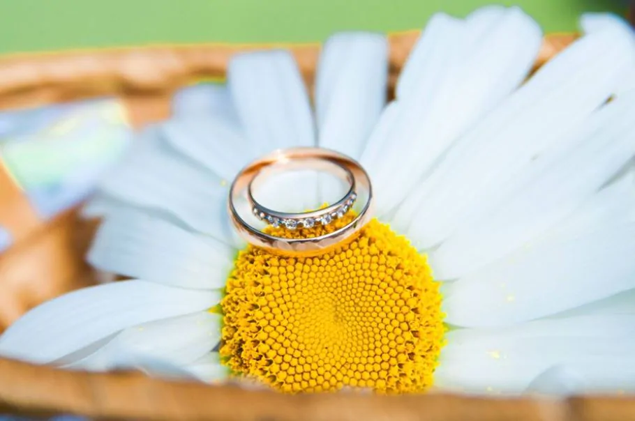 9 лет свадьбы: какая свадьба и что на нее дарят