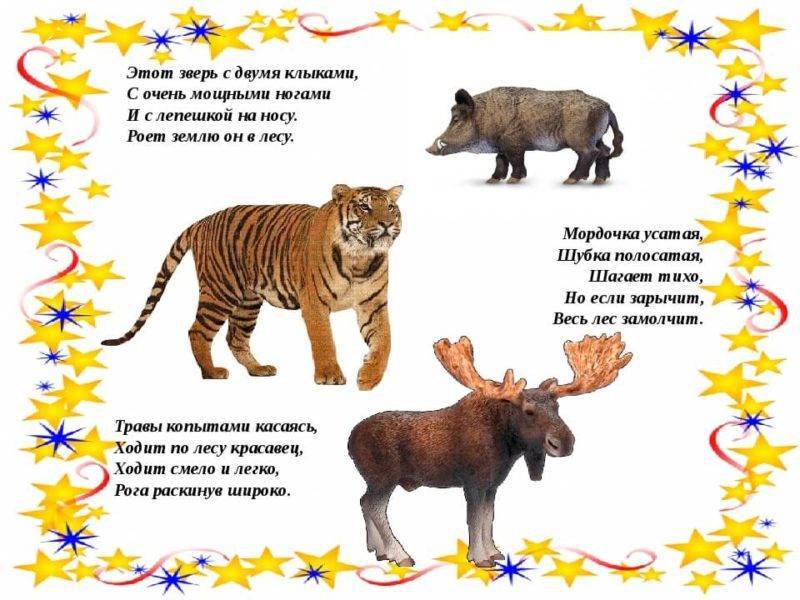 Загадки про животных для детей