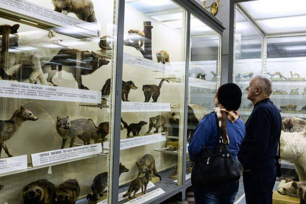 Зоологический музей в санкт петербурге 2022 адрес стоимость билета и фото