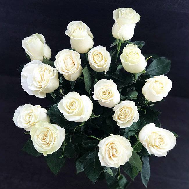 Секреты цветочных букетов, или К чему дарят белые розы?