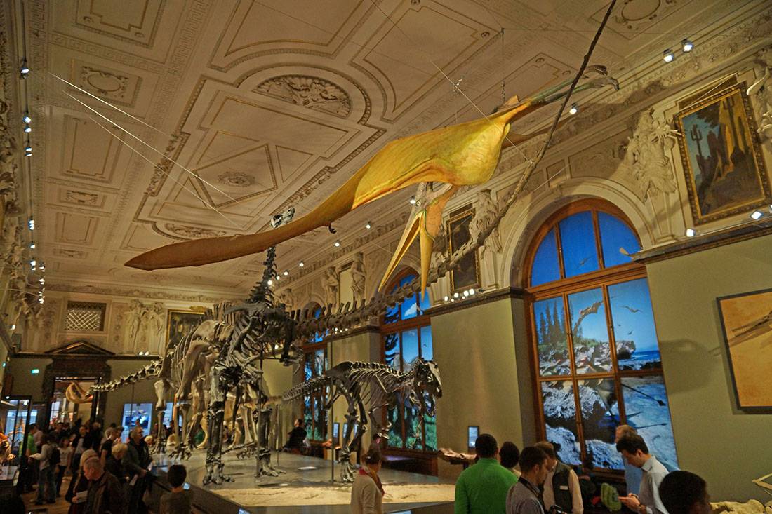 Учимся, путешествуя: 10 лучших музеев естествознания в разных странах мира