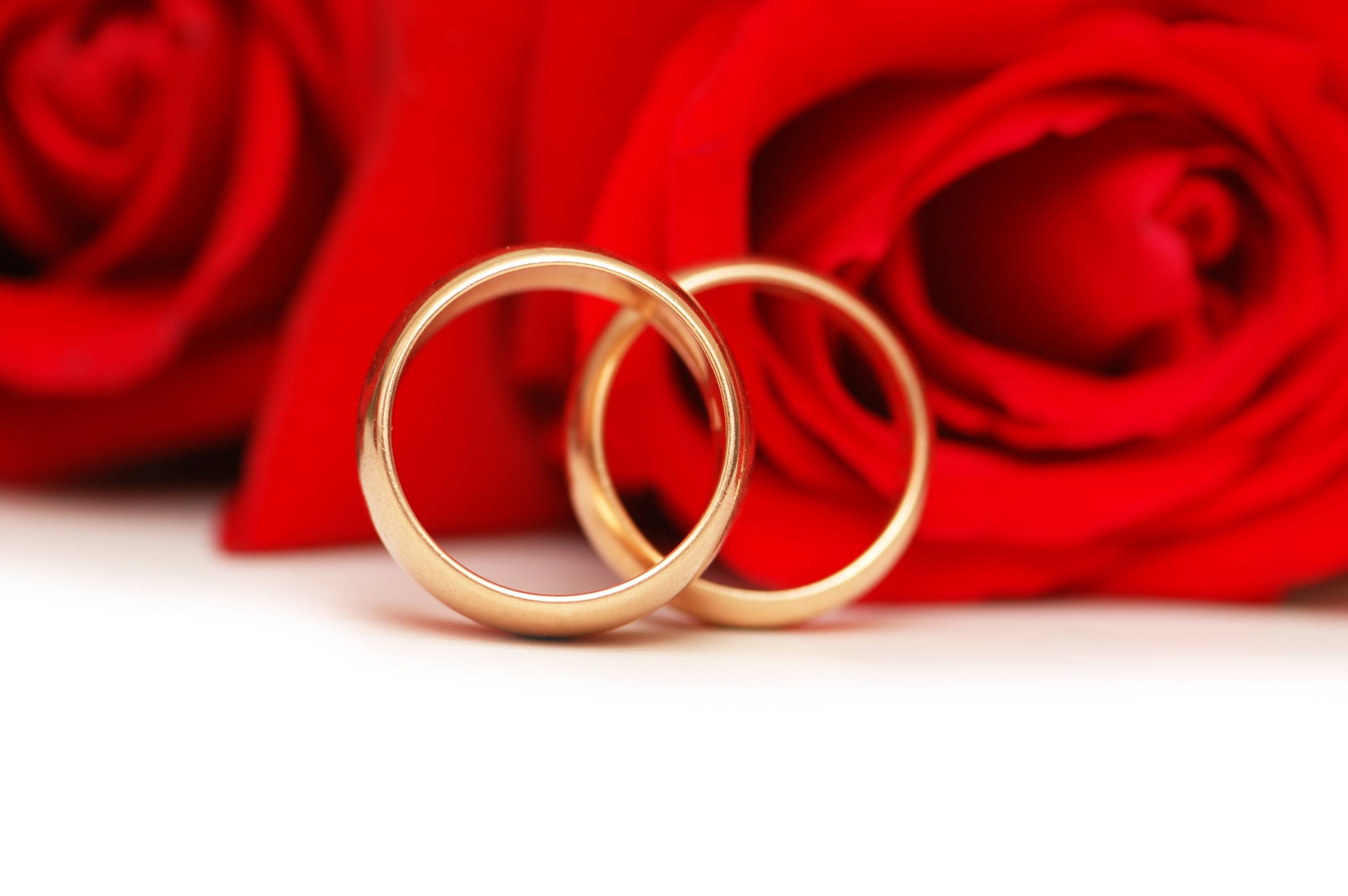 Красная  свадьба: сколько лет, что подарить? годовщина свадьбы (100 лет совместной жизни): какая свадьба?