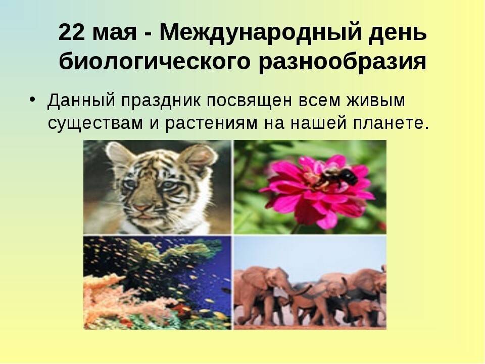 Международный день биологического разнообразия | организация объединенных наций