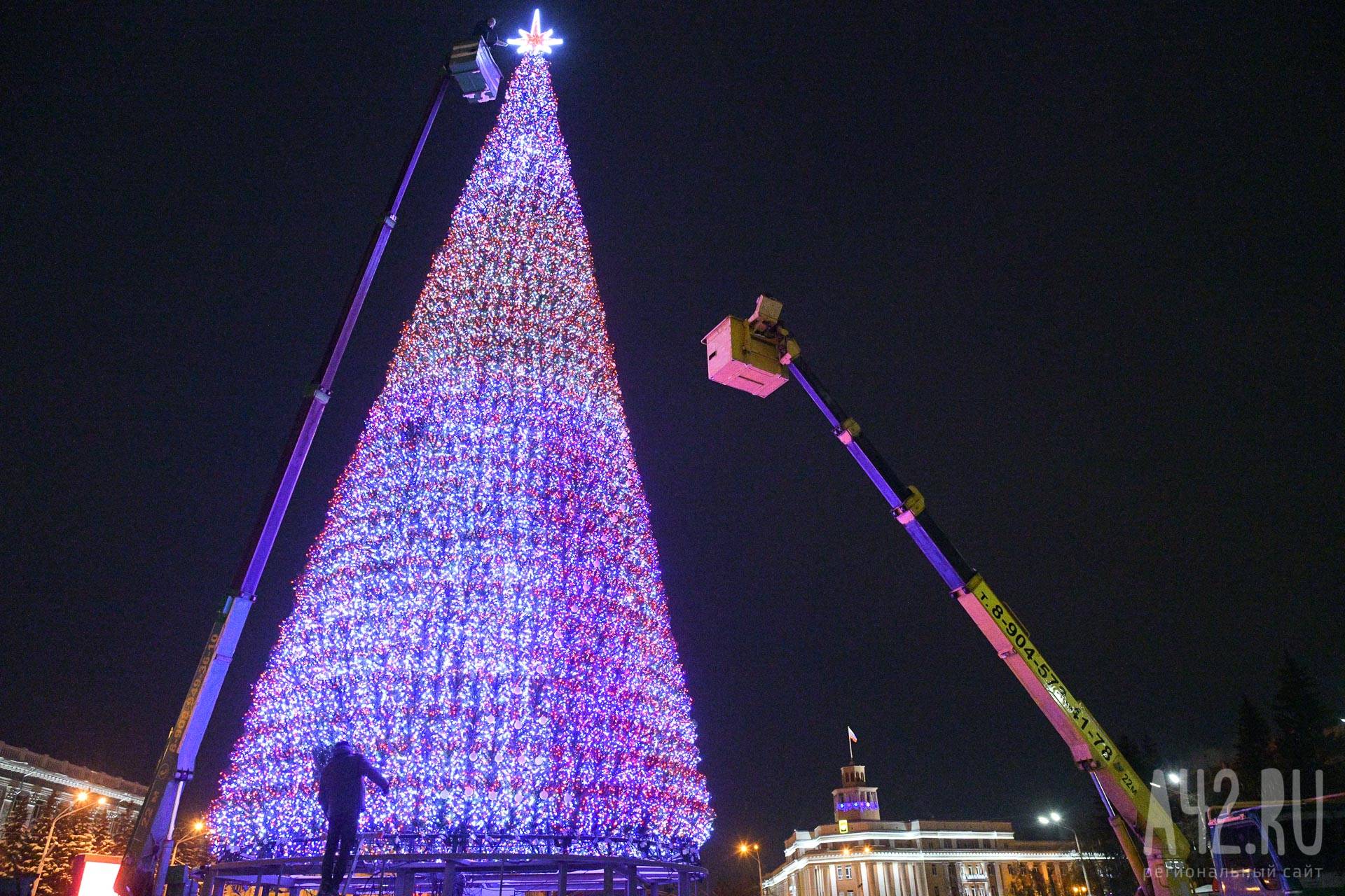 Эти ёлки бросаются в глаза: топ новогодних деревьев со всего мира - новости - vtambove.ru