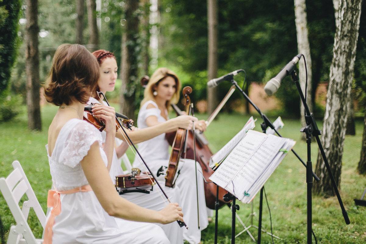 Музыканты на свадьбе — залог веселого праздника