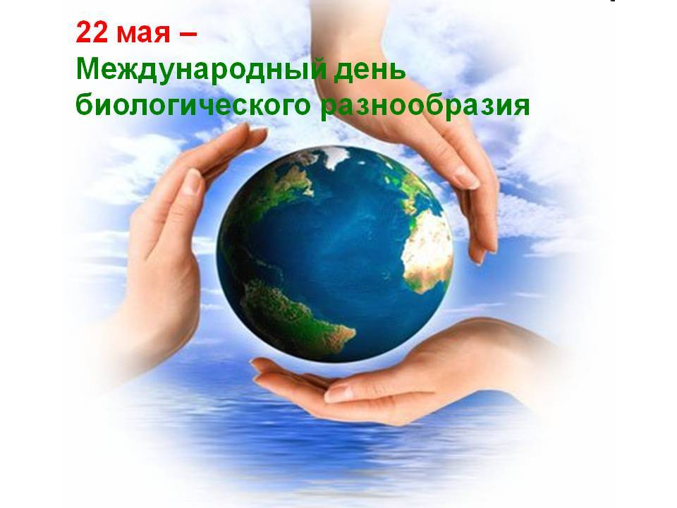 22 мая в календаре: международный день биологического разнообразия и день винегрета - amurmedia