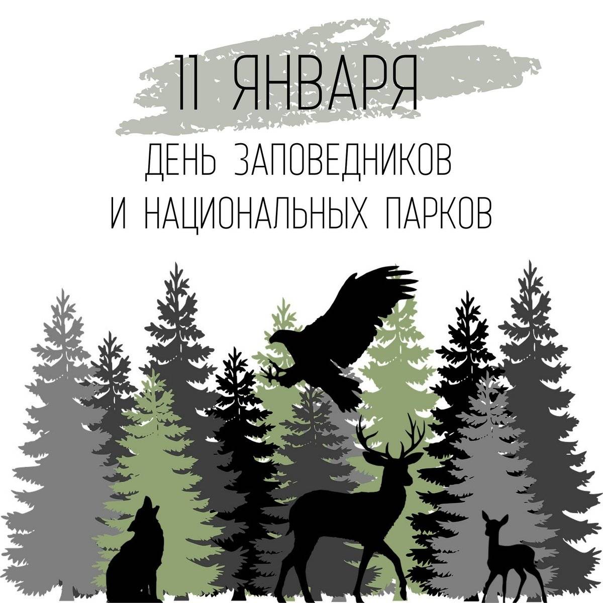 11 января — день заповедников и национальных парков россии