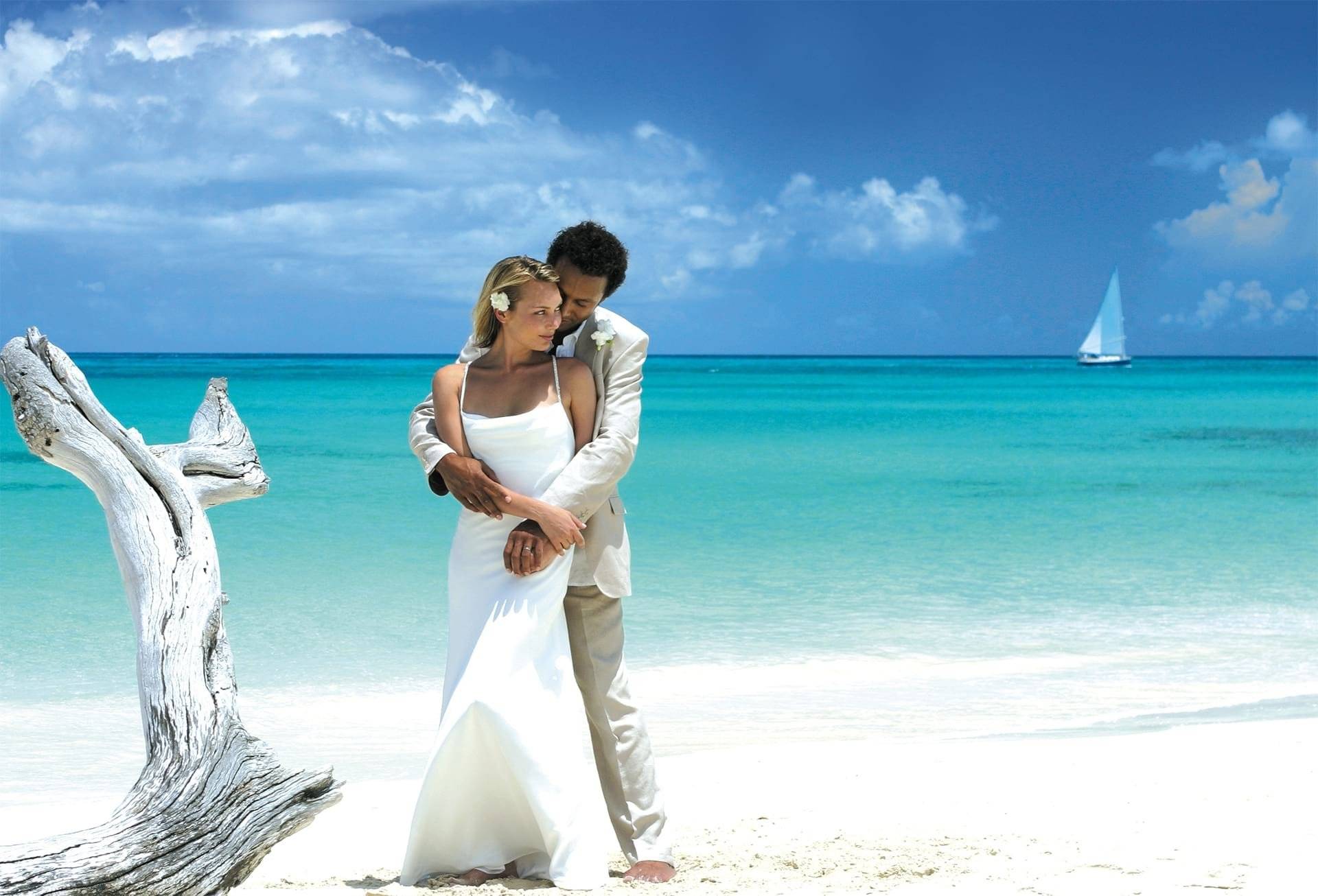 Тропическая свадьба: стильно и ярко! свадьба мечты в ваших руках!