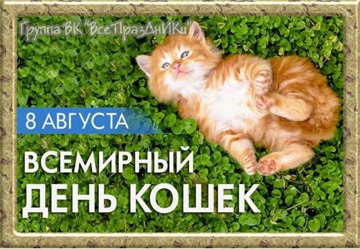 Всемирный день кошек: в разных странах, в россии
всемирный день кошек: в разных странах, в россии