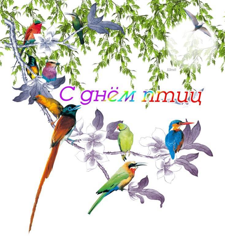 1 апреля – это еще и День птиц История праздника