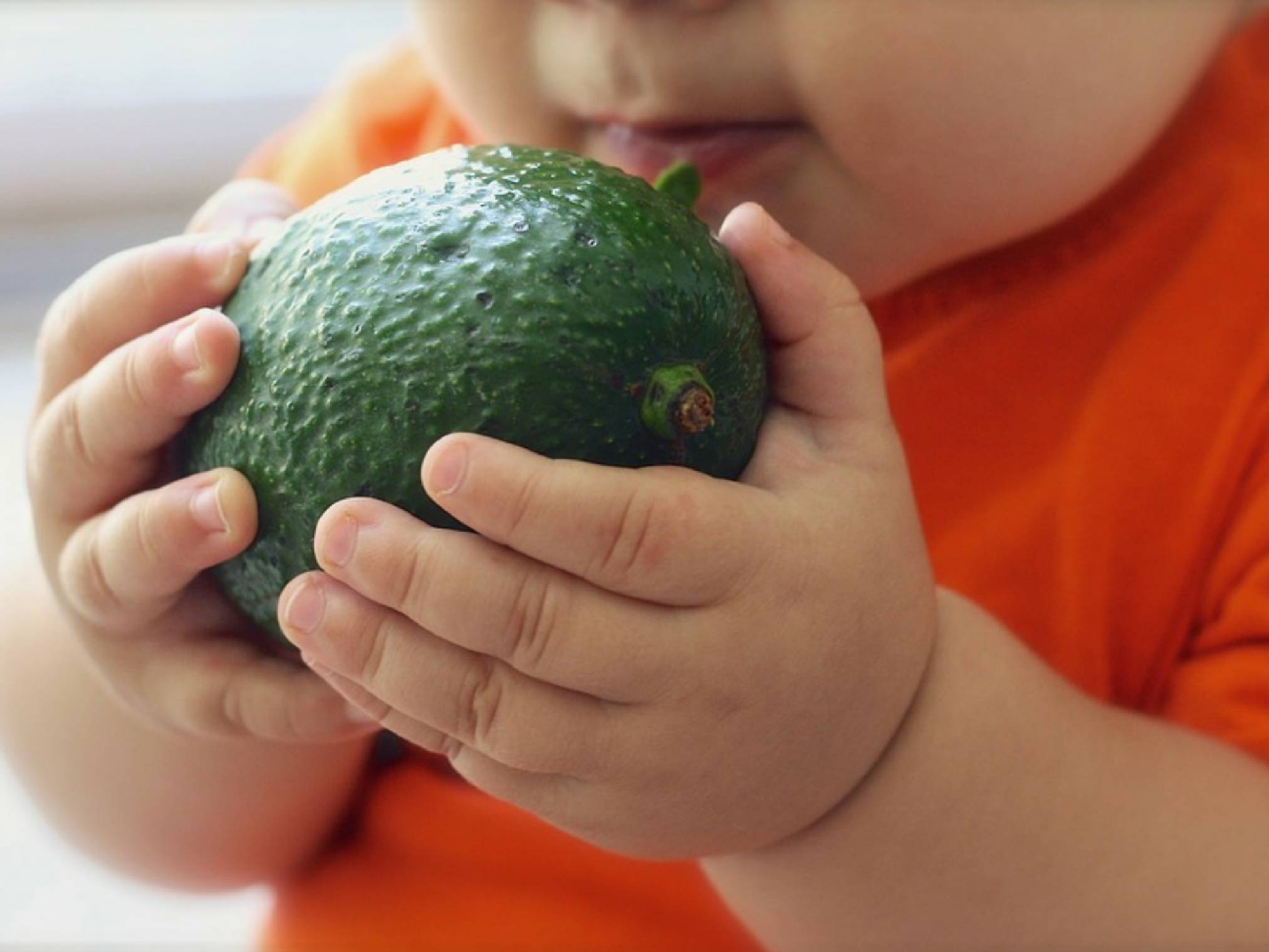 В каком возрасте можно давать ребенку авокадо?
