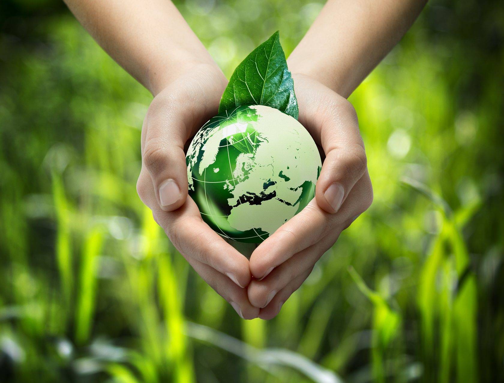 Как помочь экологии в своей стране и во всём мире