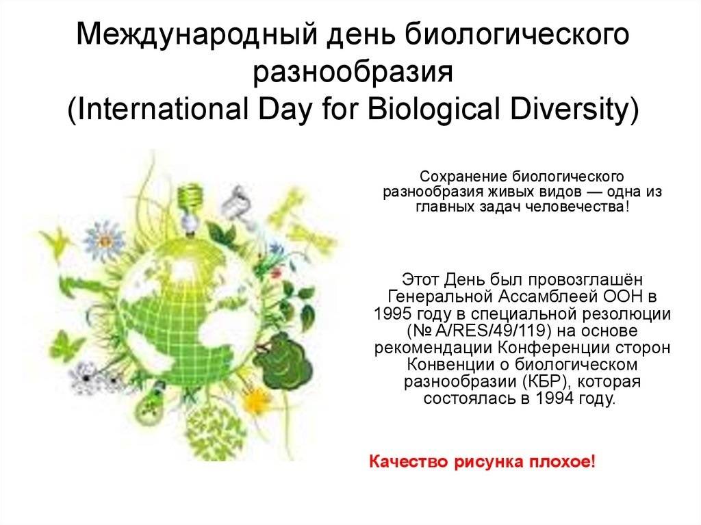 Международный день биологического разнообразия: какого числа