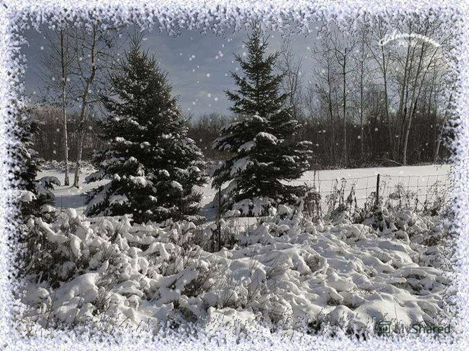 День рождения зимой «У леса на опушке»