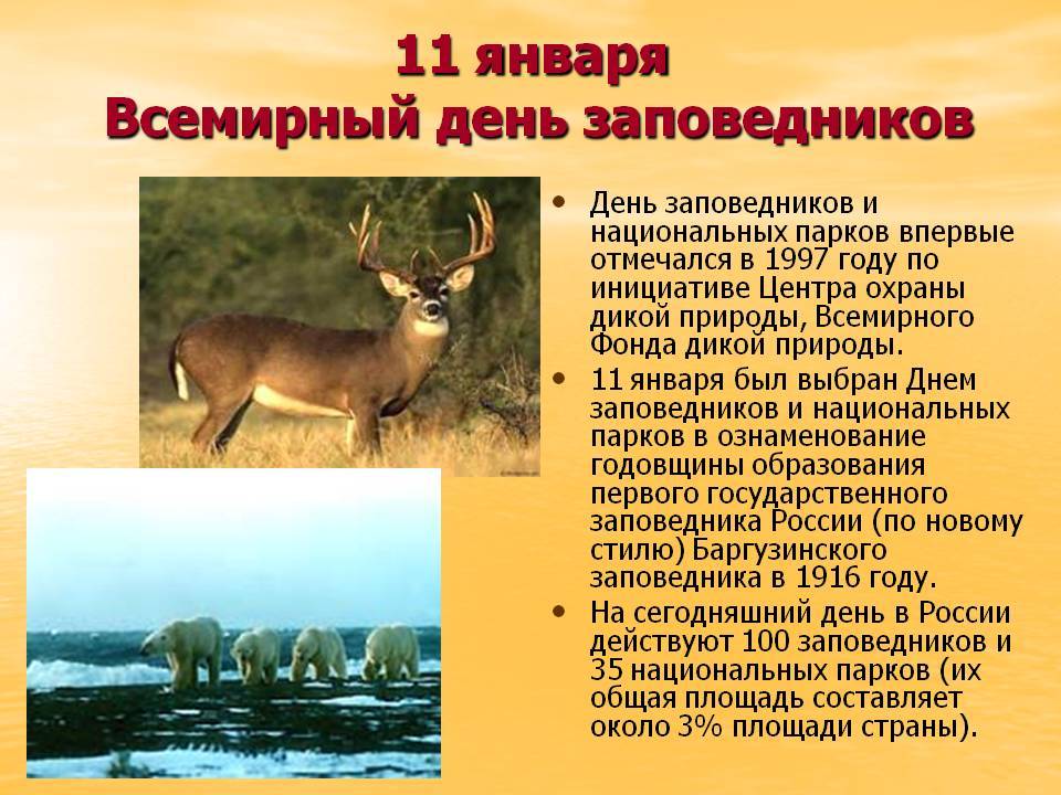 11 января — день заповедников и национальных парков россии