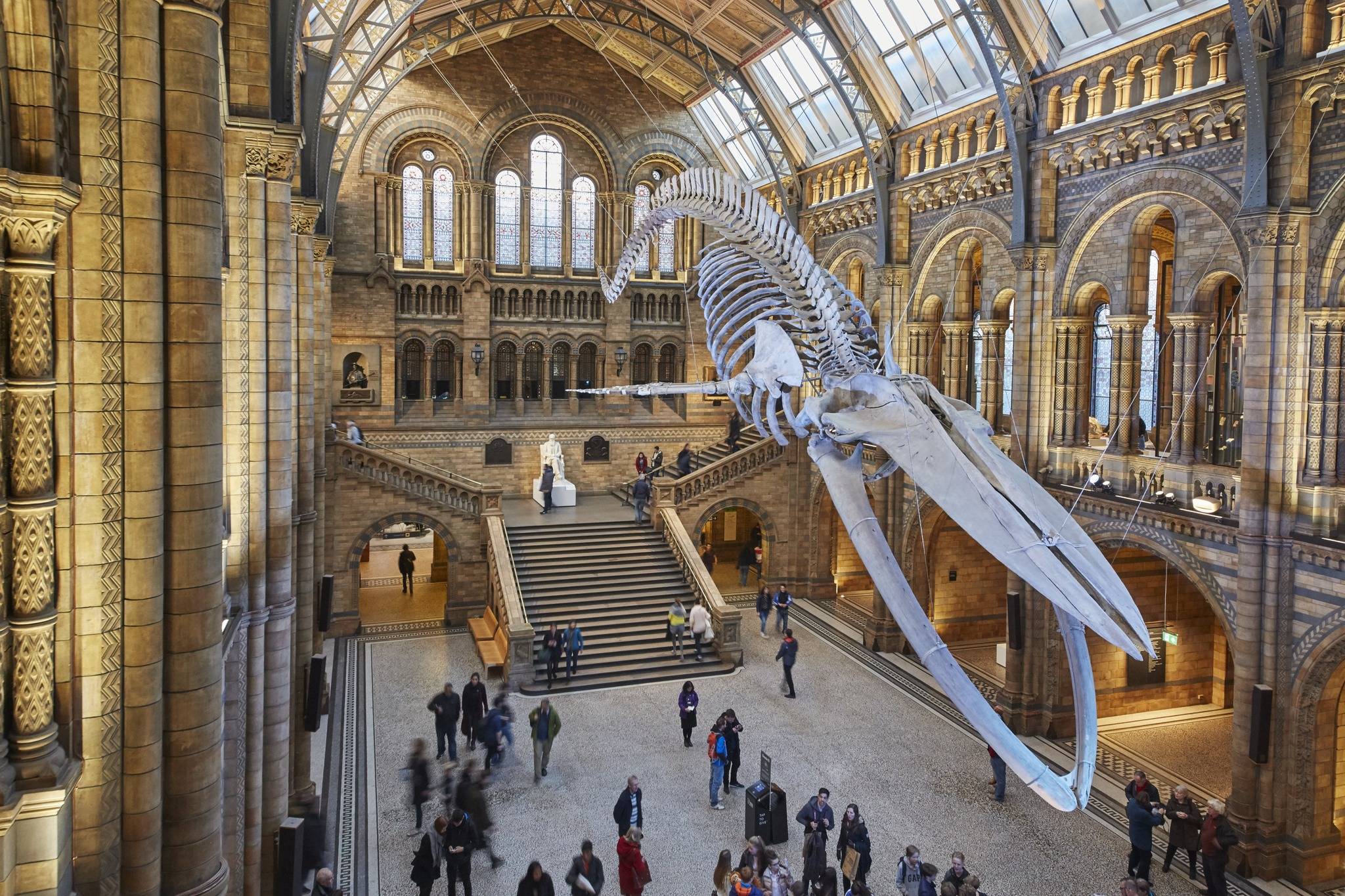 Лондонский музей естественной истории - frwiki.wiki