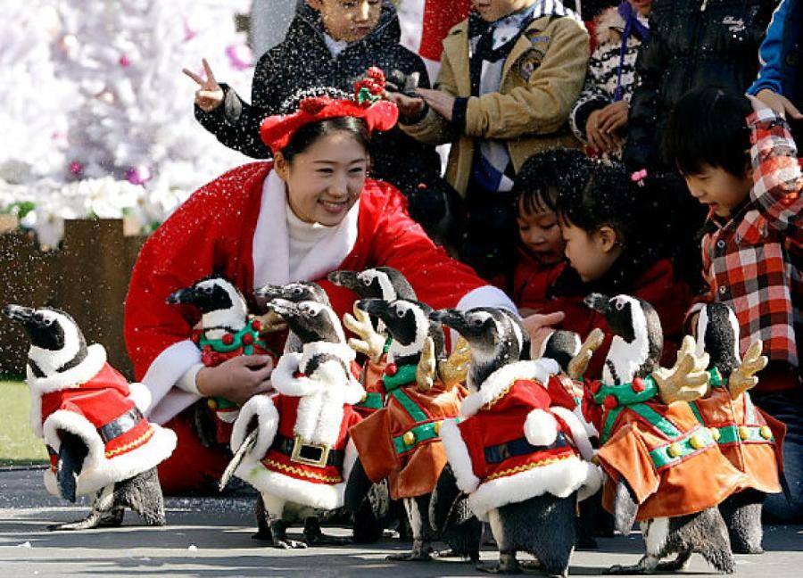 5 самых интересных рождественских традиций других стран