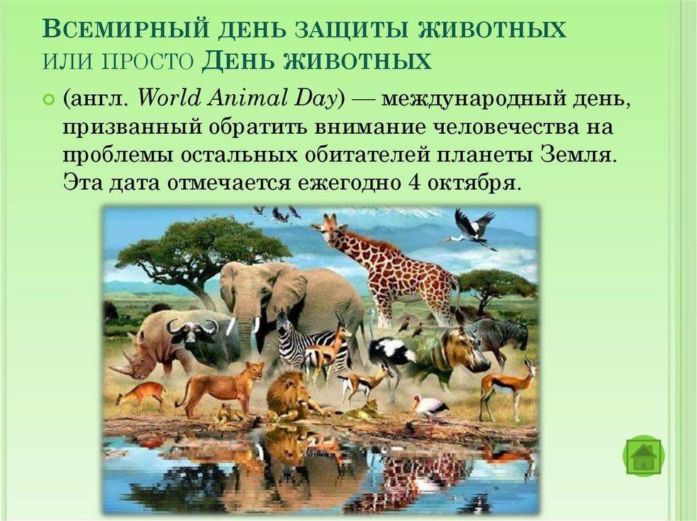 Всемирный день животных 2022
