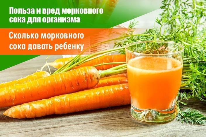 Место морковного сока в детском питании