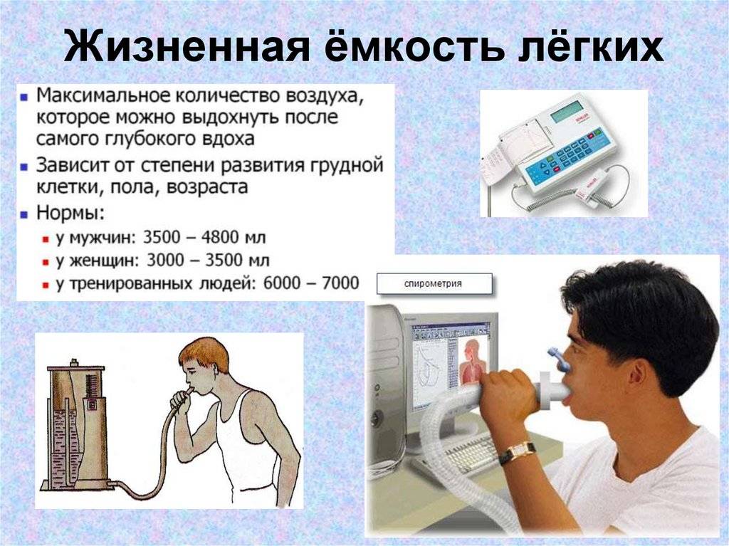 Как увеличить объем лёгких в домашних условиях pulmono.ru
как увеличить объем лёгких в домашних условиях