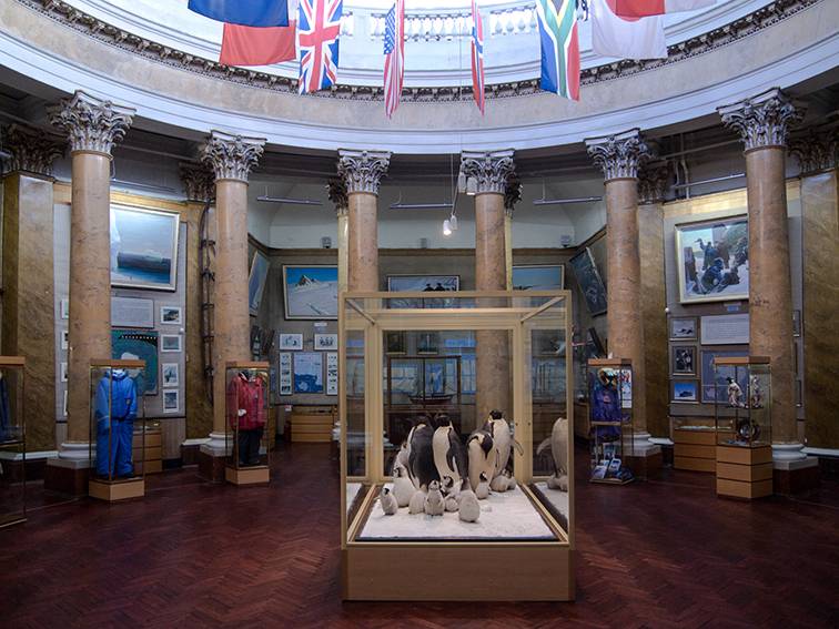 Музей двух полюсов - портал культура петербурга