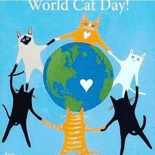 8 августа - всемирный день кошек и котов: открытки, картинки классные - ещё фото: день кошек 1 марта, а день котов 17 февраля