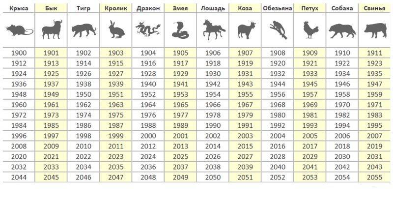 1991 год кого животного. 2022 Год по китайскому гороскопу. Чей год 2022. 2022 Год кого. Год кого 2022 какого животного.